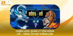 chiến thuật quản lý vốn Rồng Hổ