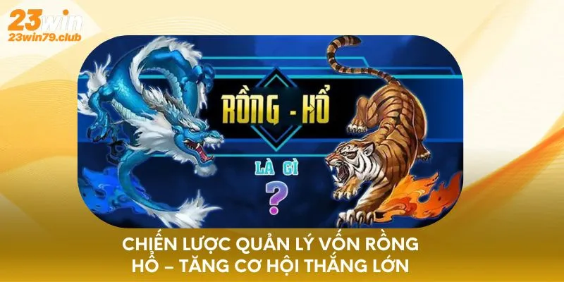 chiến thuật quản lý vốn Rồng Hổ