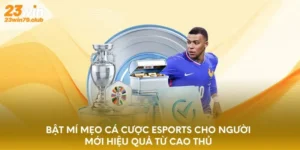 Cá Cược Esports Cho Người Mới