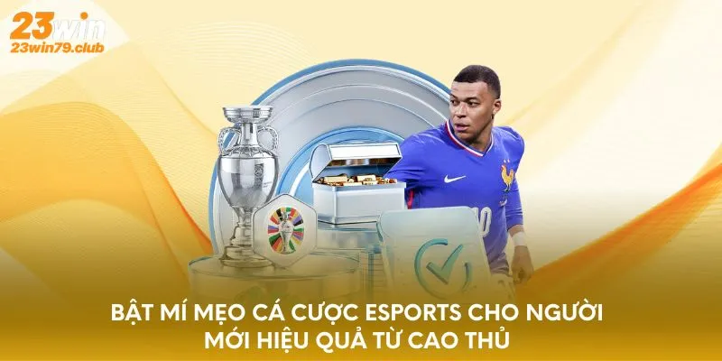 Cá Cược Esports Cho Người Mới